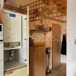 Rent 3 bedroom apartment of 55 m² in Luserna