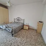 Rent 3 bedroom apartment of 70 m² in Bologna