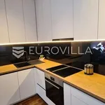 Rent 2 bedroom apartment of 66 m² in Zagreb