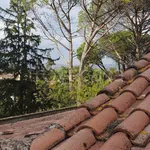 Rent 10 bedroom house of 350 m² in Roma