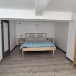 Maison de 60 m² avec 2 chambre(s) en location à Foix