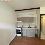 Rent 2 bedroom apartment of 33 m² in Ústí nad Labem