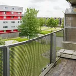 Rent 4 bedroom apartment of 90 m² in De Aker