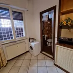 Rent 1 bedroom apartment of 23 m² in Rome