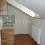 Rent 1 bedroom apartment of 28 m² in Ostrava