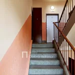 Rent 2 bedroom apartment of 53 m² in Prague