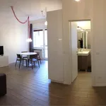 Rent 1 bedroom apartment in Turin