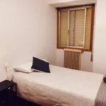 Alquilar 5 dormitorio apartamento en Santiago de Compostela