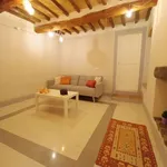 Rent 1 bedroom apartment in perugia