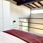 Rent 1 bedroom apartment in florence