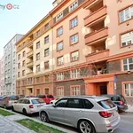 Rent 2 bedroom apartment of 56 m² in Trhový Štěpánov