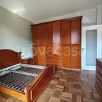 Rent 3 bedroom apartment of 112 m² in Novara