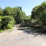 Rent 4 bedroom apartment of 80 m² in Lucca