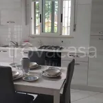 Rent 3 bedroom apartment of 60 m² in Riccione