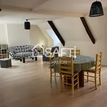 Rent 3 bedroom apartment of 113 m² in ToulouseT