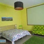 Rent 3 bedroom apartment of 85 m² in Turin