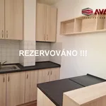 Rent 2 bedroom apartment in Opava