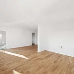 Miete 2 Schlafzimmer wohnung von 53 m² in Nuremberg