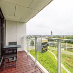 Rent 2 bedroom apartment in Halle