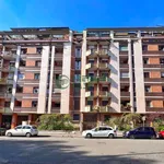 Rent 2 bedroom apartment of 50 m² in Turin