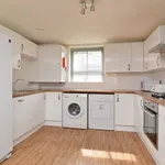 Rent 6 bedroom flat in Exeter