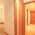 Rent 3 bedroom apartment of 115 m² in Madrid