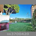 Rent 1 bedroom apartment of 35 m² in Roma