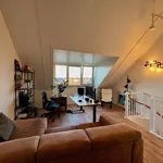 Rent 5 bedroom house of 126 m² in Plantage de Sniep Noord