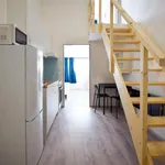 Rent 1 bedroom apartment in Brno