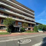 Rent 4 bedroom apartment of 138 m² in Toulouse 31400 -