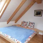 Rent 1 bedroom apartment in munich