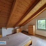 Rent 3 bedroom apartment of 100 m² in Turin