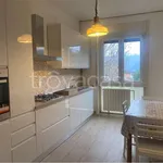 Rent 3 bedroom apartment of 87 m² in Como