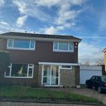 Rent 4 bedroom house in North East England