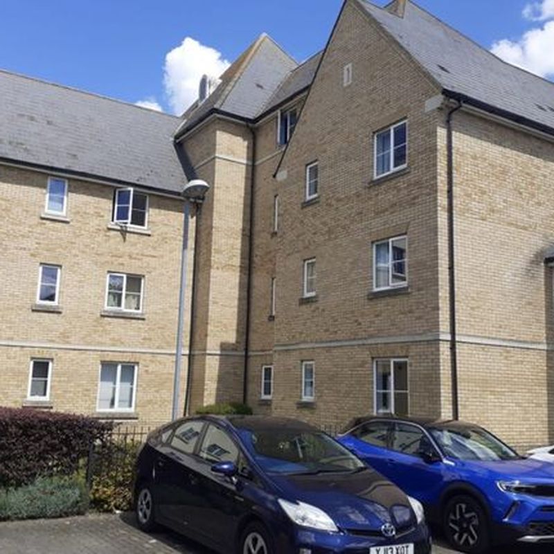 Flat to rent in Mortimer Gardens, Colchester CO4 Hornestreet