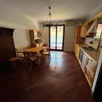 Rent 3 bedroom apartment of 80 m² in Ponte San Nicolò