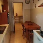 Rent 2 bedroom apartment of 80 m² in Roma