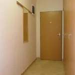 Rent 1 bedroom apartment of 29 m² in Brno