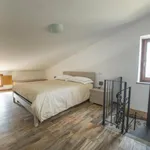 Rent 1 bedroom apartment in Viterbo