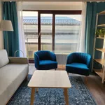  appartement avec 1 chambre(s) en location à Etterbeek