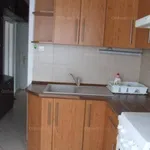 Rent 1 bedroom apartment of 39 m² in Békéscsaba