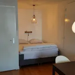 Rent 1 bedroom apartment of 35 m² in Nieuwe Werk