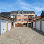 Huur 3 slaapkamer appartement in Lebbeke