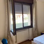 Rent 5 bedroom apartment of 15 m² in Legnaro