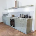 Rent 3 bedroom apartment of 100 m² in Roma