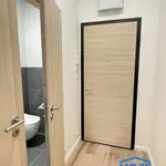 Pronajměte si 2 ložnic/e byt o rozloze 4847 m² v Pilsen