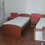 Rent 2 bedroom apartment of 50 m² in Bologna