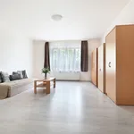 Rent 4 bedroom apartment of 99 m² in Kolín