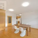 Pronajměte si 4 ložnic/e byt o rozloze 153 m² v Prague