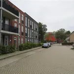 Kruyderlaan, Nieuwegein - Amsterdam Apartments for Rent